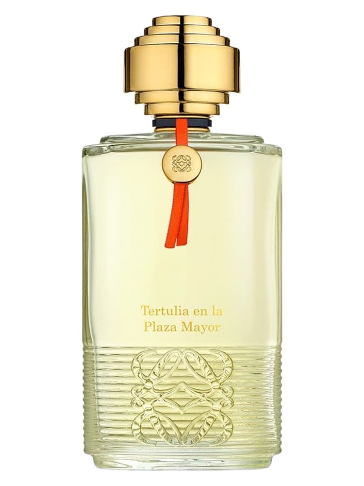 Tertulia en la Plaza Mayor