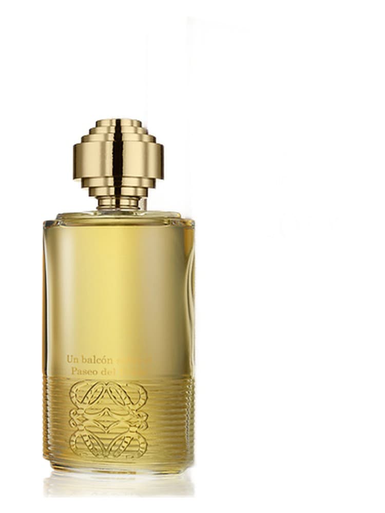 Tras la tormenta en el Jardin Botanico