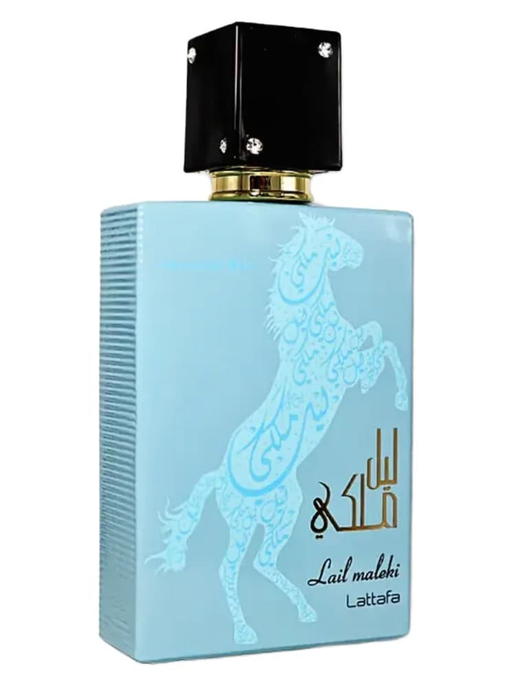 Lail Maleki Moroccan Blue