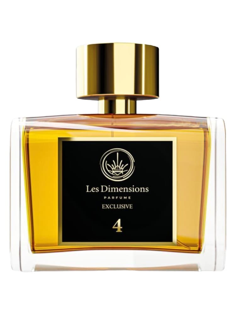 Dimension 4 Vainqueur