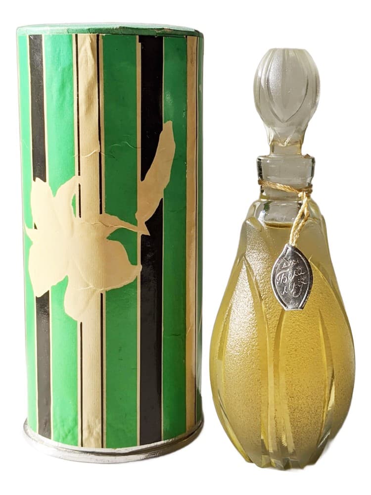 Belaa lilia White lily