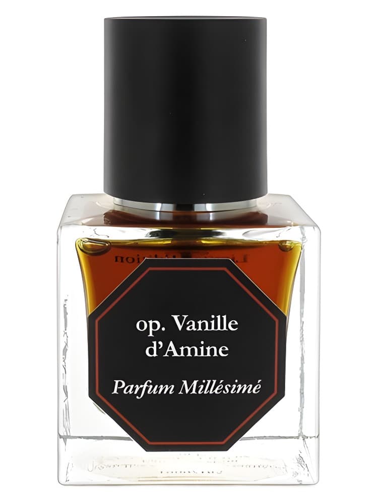 Vanille d Amine
