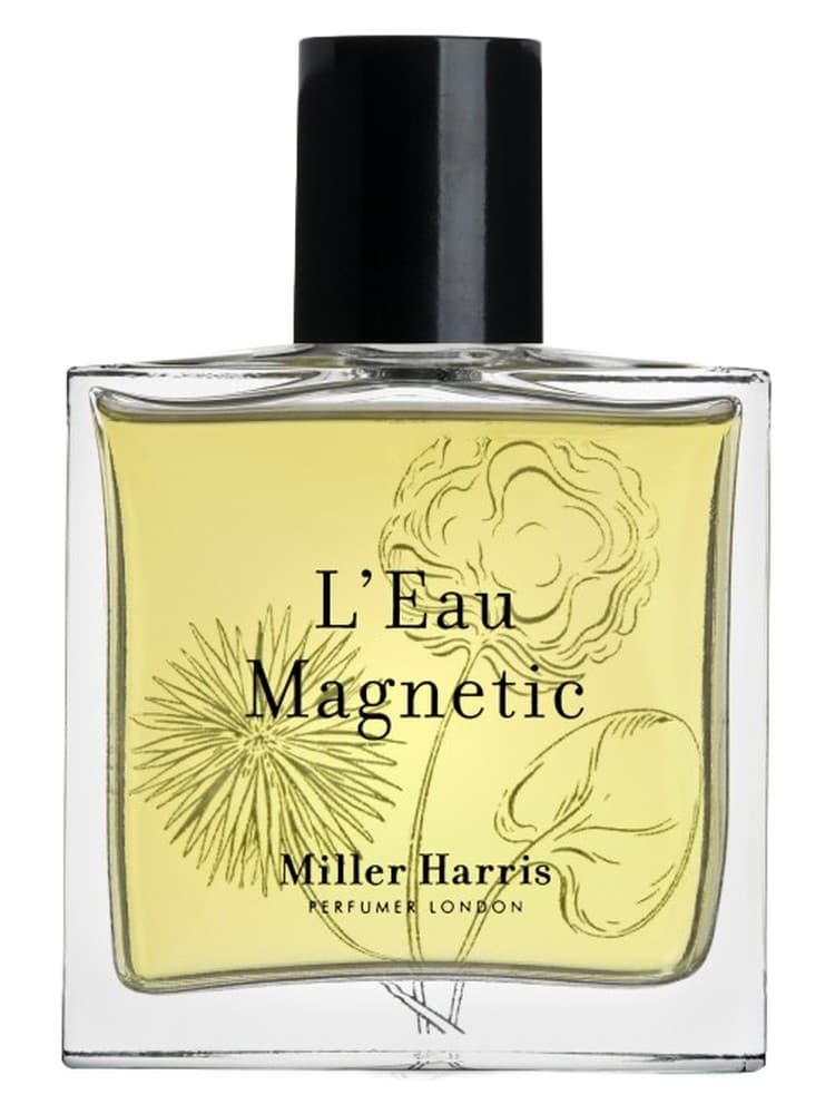 L Eau Magnetic