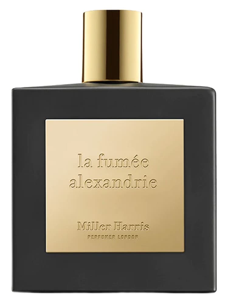 La Fumee Alexandrie