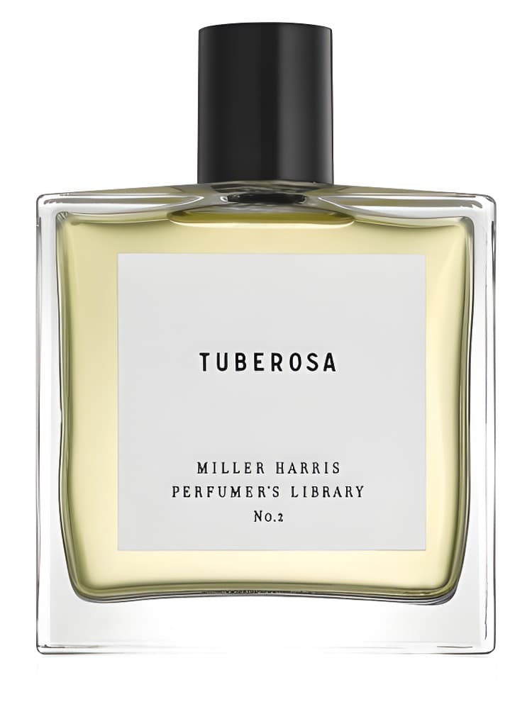 Tuberosa