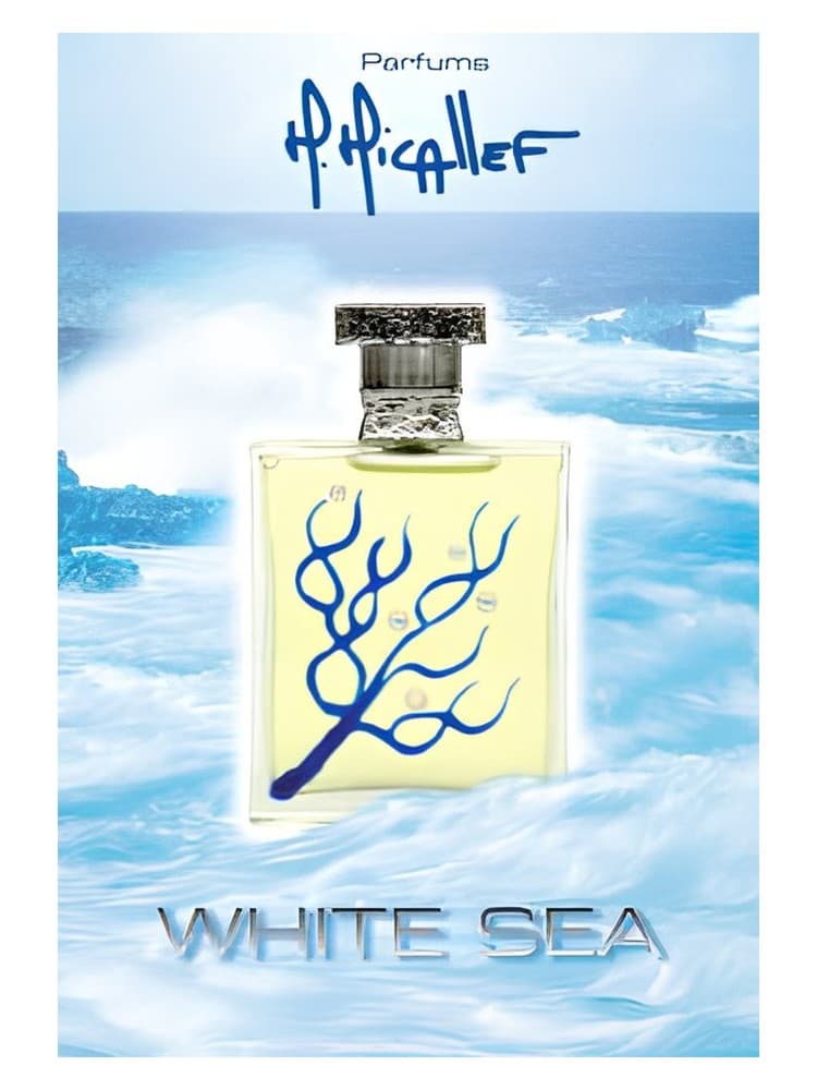 Les 4 Saisons White Sea