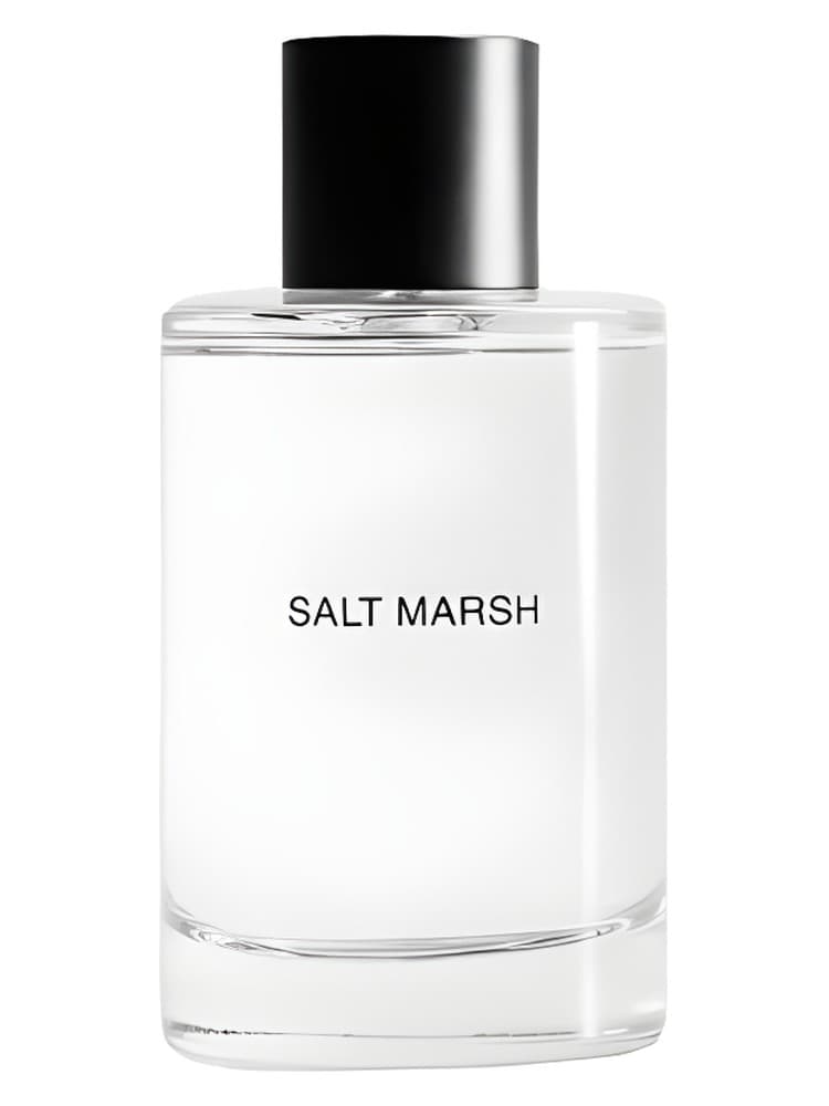 Salt March