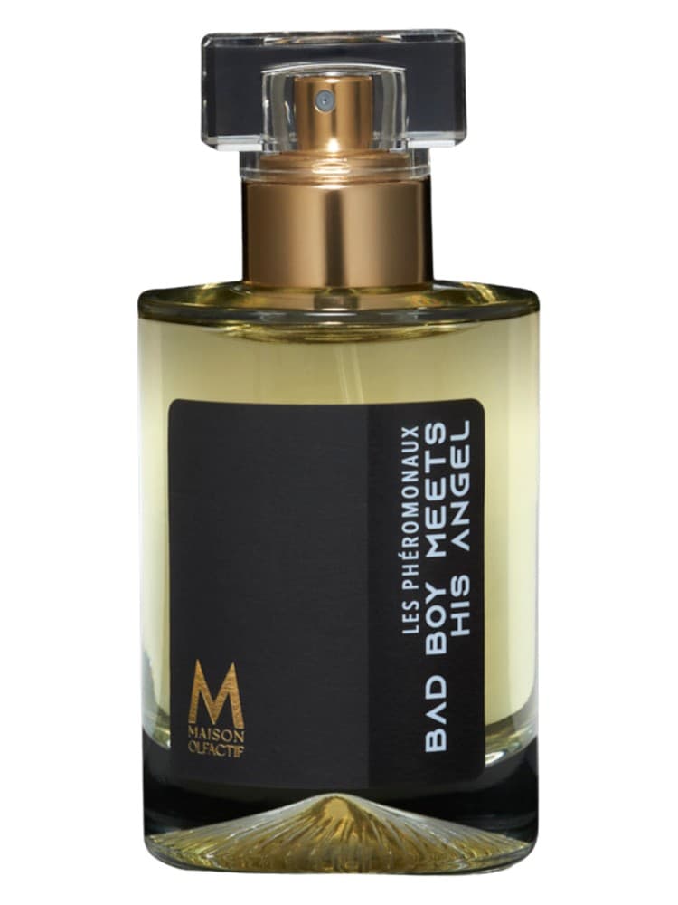 Bad boy meets his angel