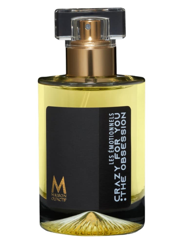 Crazy for you The obsession