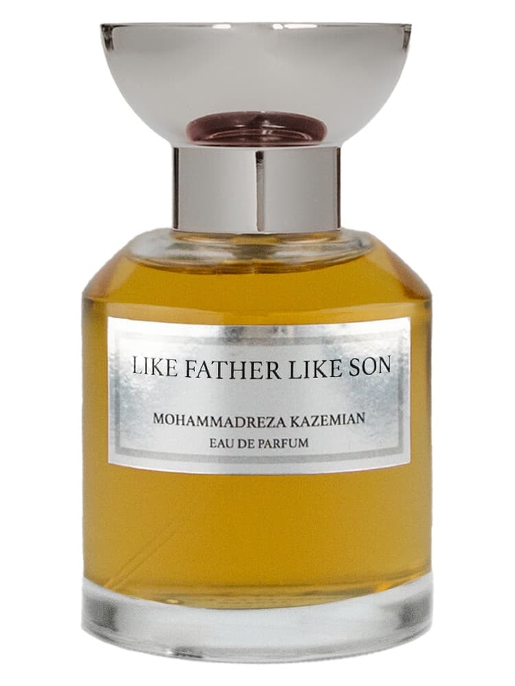 Like Father Like Son