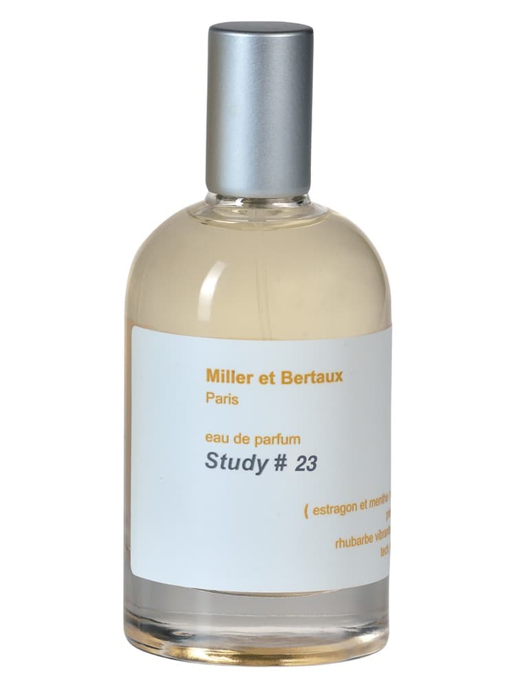 Study No 23 Newsletter