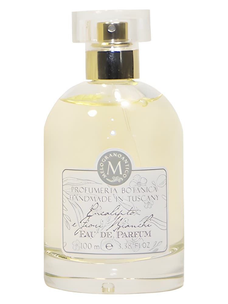 Eucalipto e Fiori Bianchi