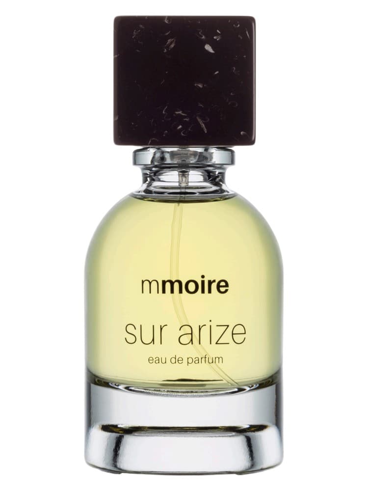 Sur Arize