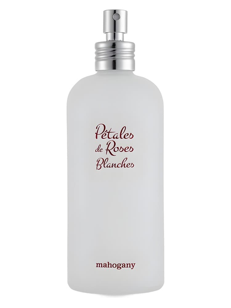 Petales de Roses Blanches