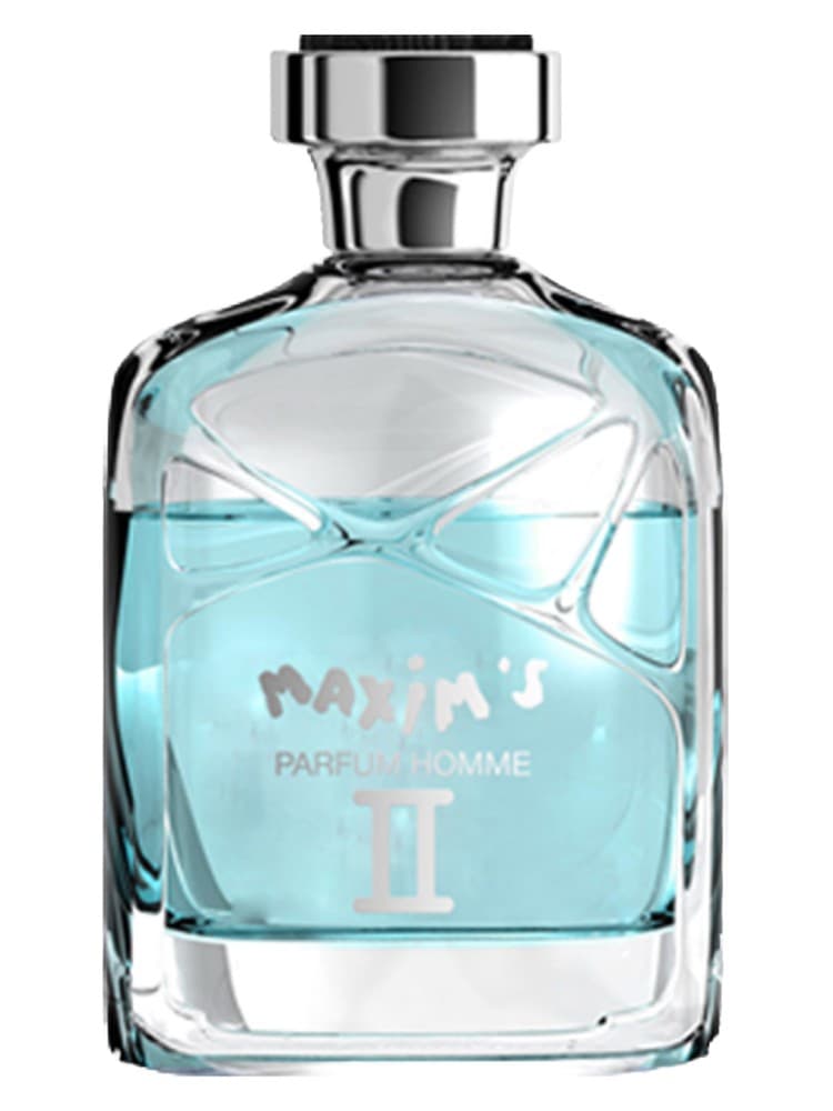Maxim s Pour Homme Earth Fire II