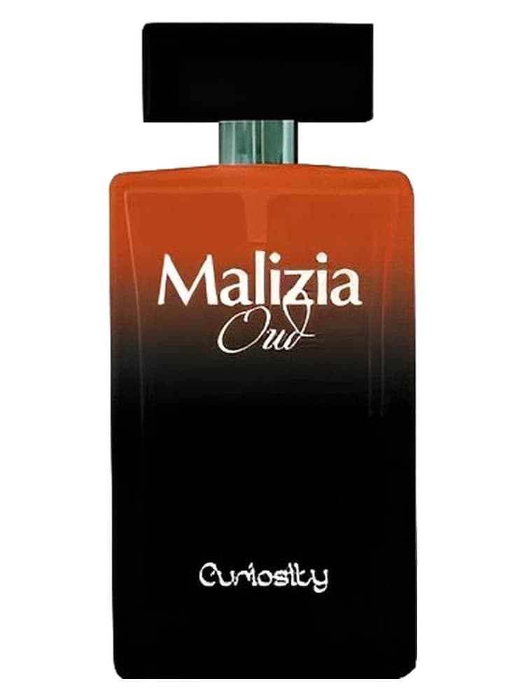 Malizia Oud Curiosity