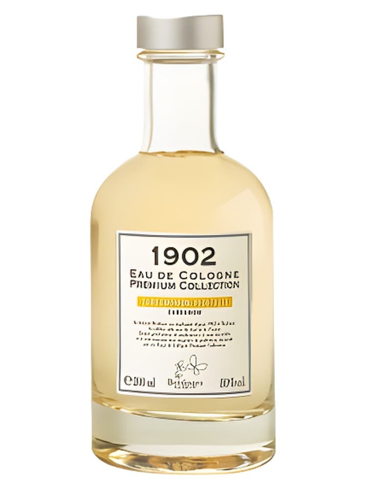 Cardamomum Vegetalis