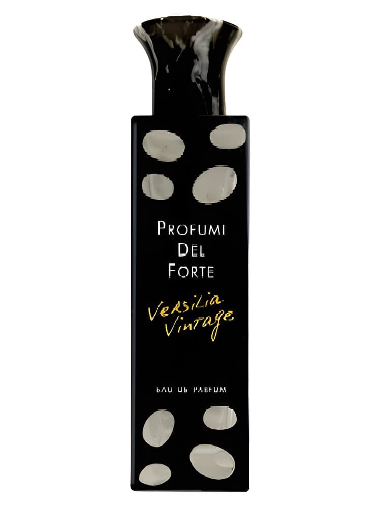 Versilia Vintage Boise