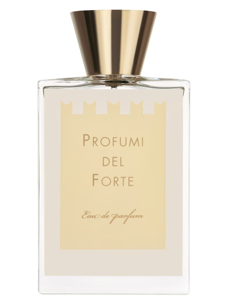 Ambra Mediterranea Versilia Vintage Ambra Mediterranea