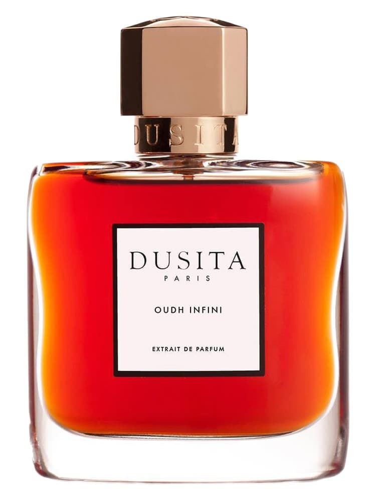 Oudh Infini
