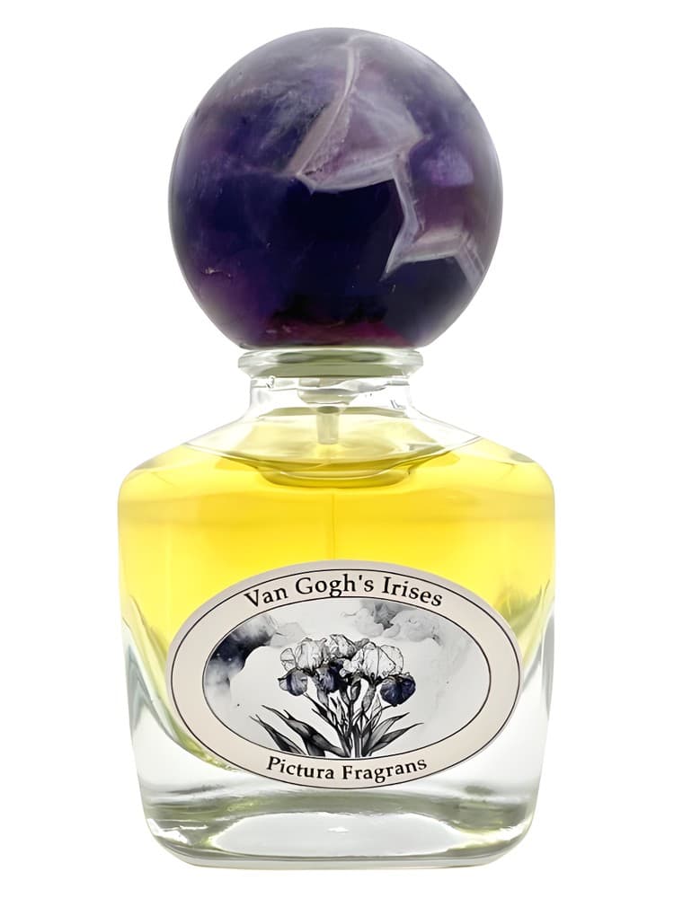 Van Gogh s Irises