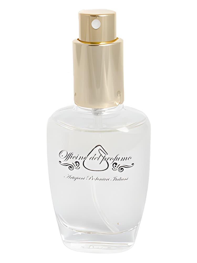 Mugheto della Cinque Terre