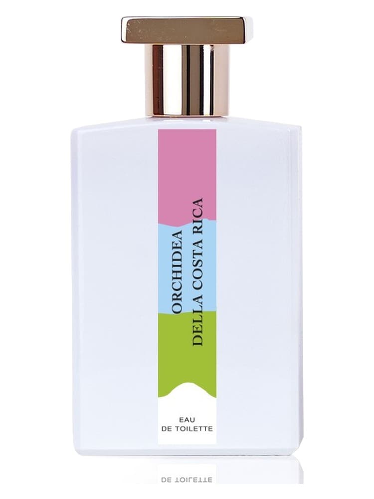 Orchidea della Costa Rica