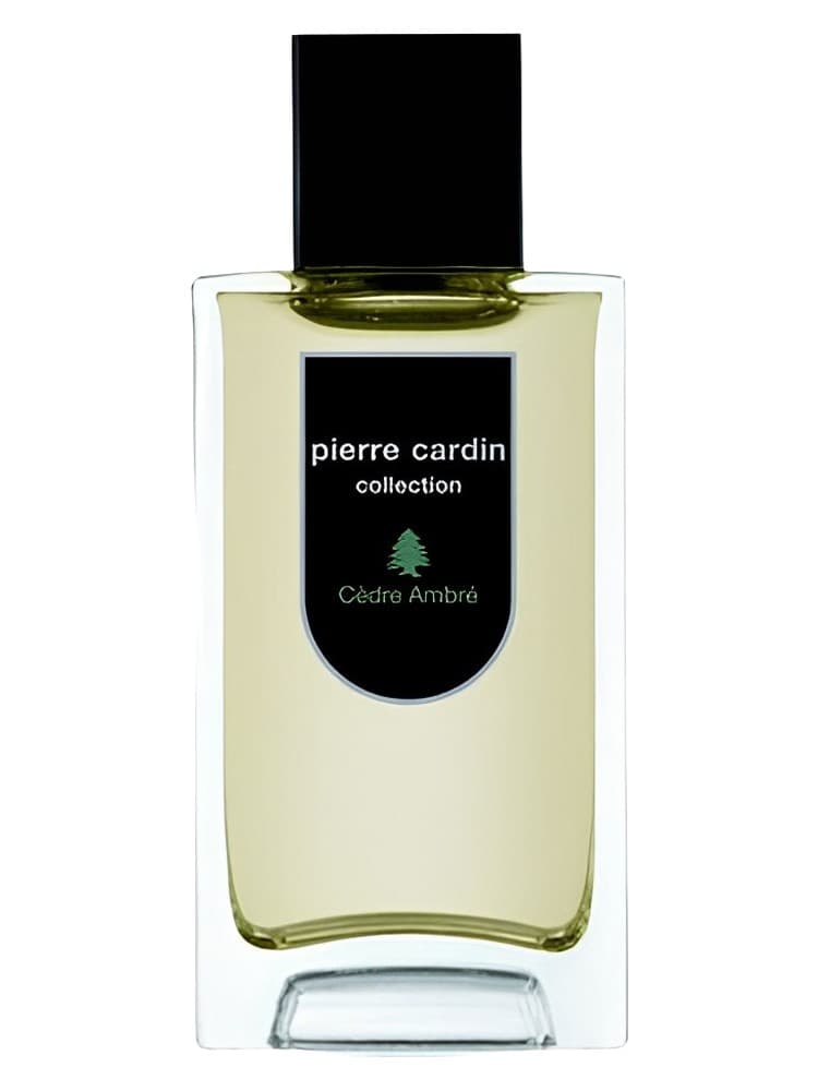 Pierre Cardin Collection Cedre Ambre