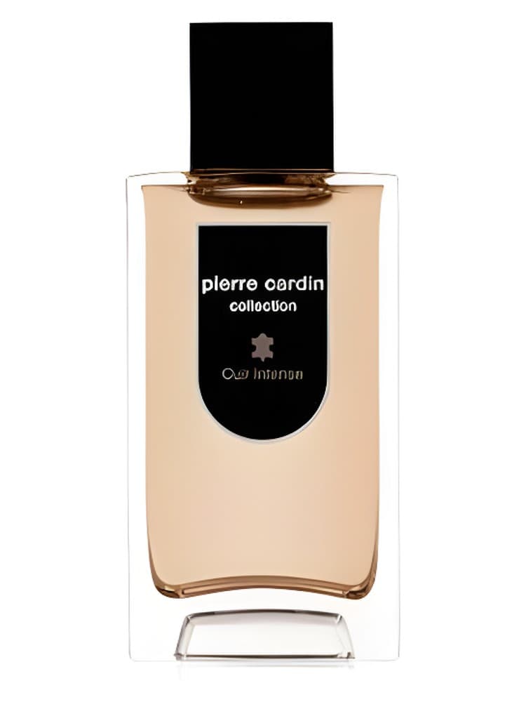 Pierre Cardin Collection Cuir Intense