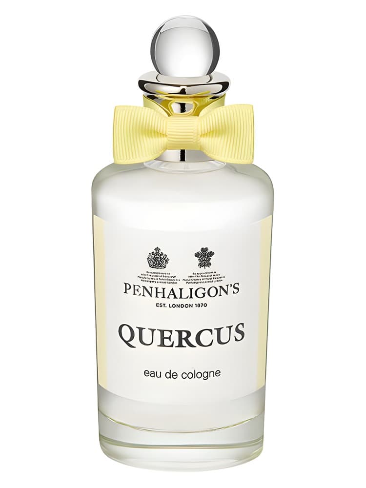 Quercus