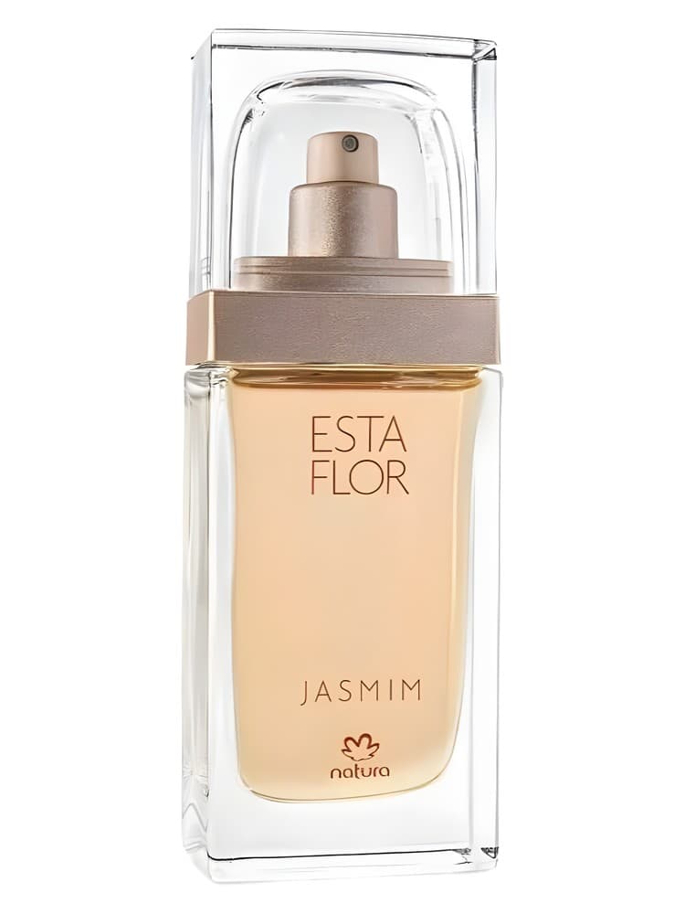 Esta Flor Jasmim