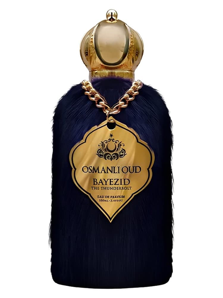Bayezid The Thunderbolt