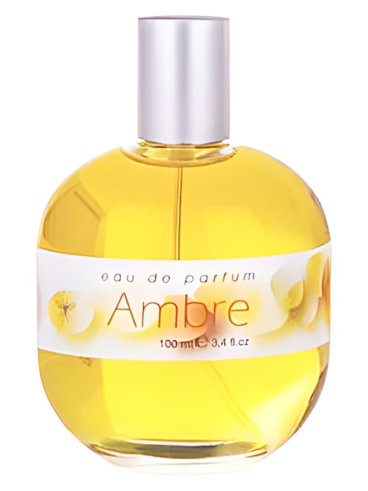 Ambre