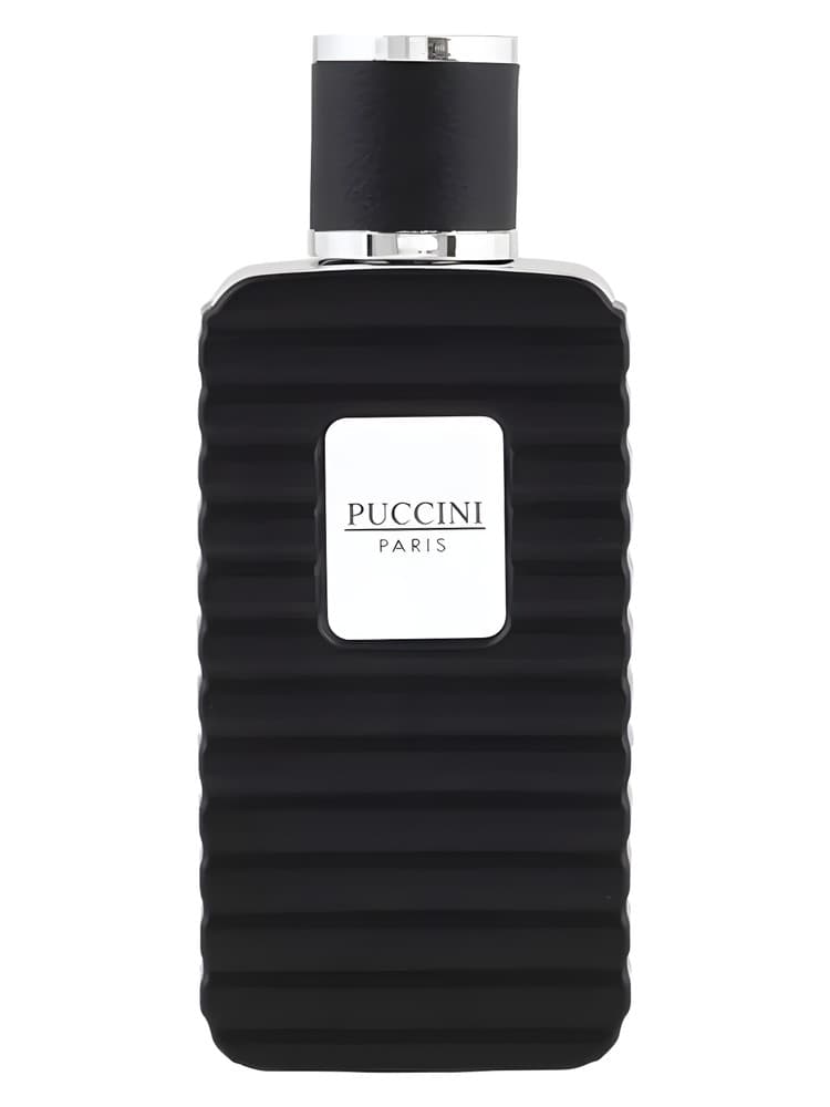 Puccini Men Black