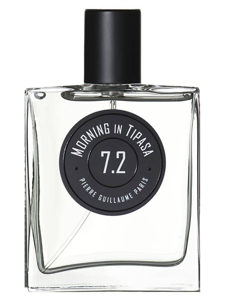 Morning In Tipasa 7 2