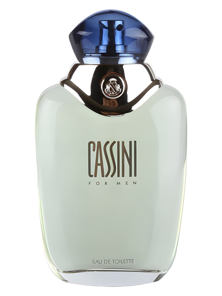 Cassini for Men