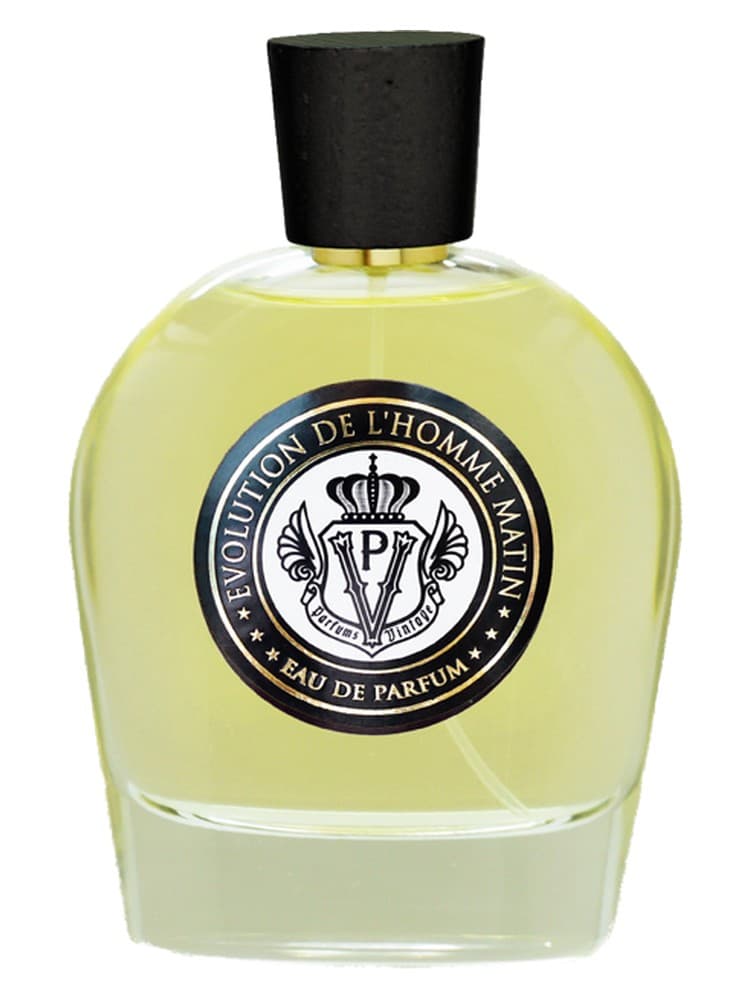 Evolution De L Homme Matin