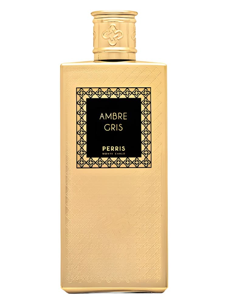 Ambre Gris
