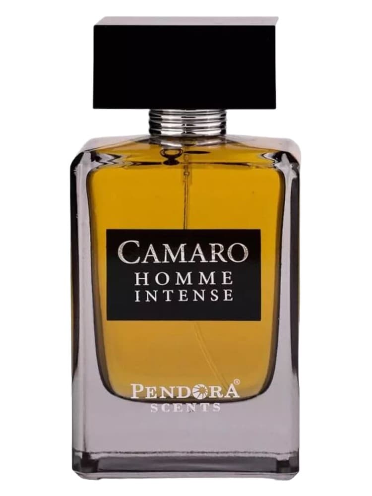 Camaro Homme Intense
