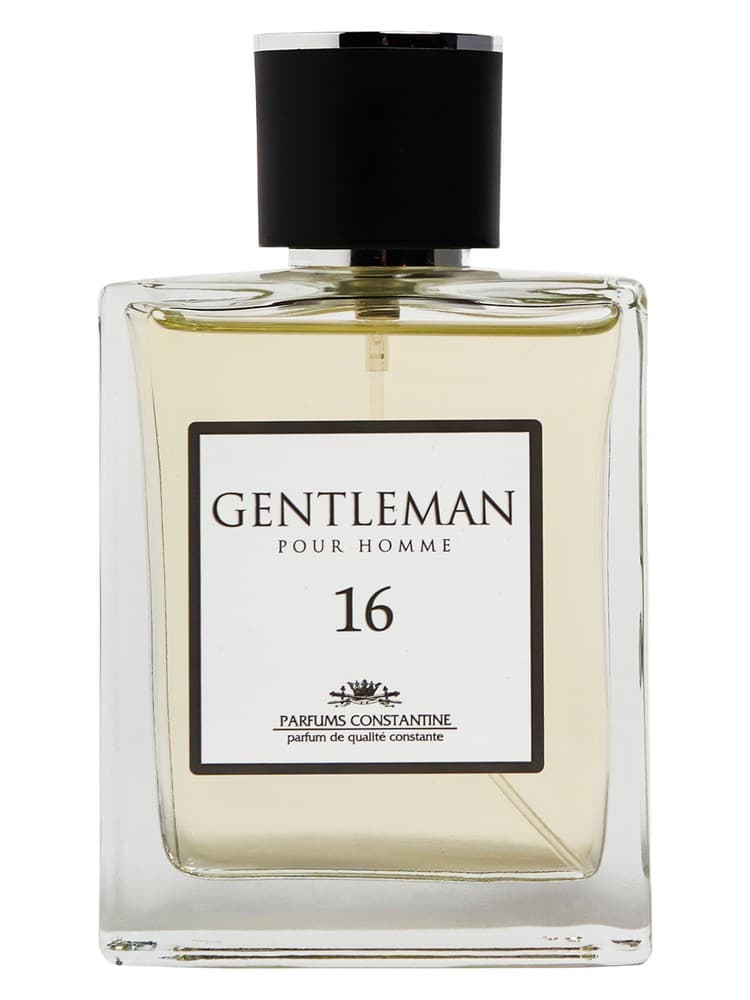 Gentleman N 16