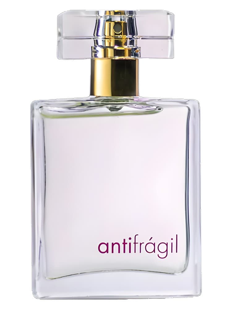 Antifragil Pour Homme