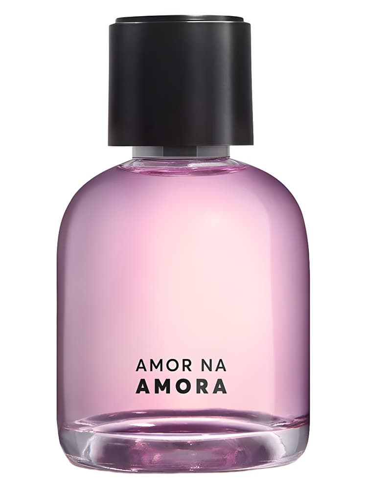 Amor na Amora