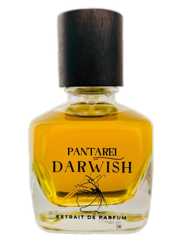 PantaRei Darwish
