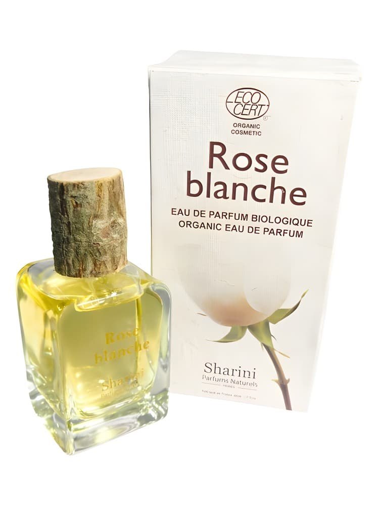 Rose Blanche