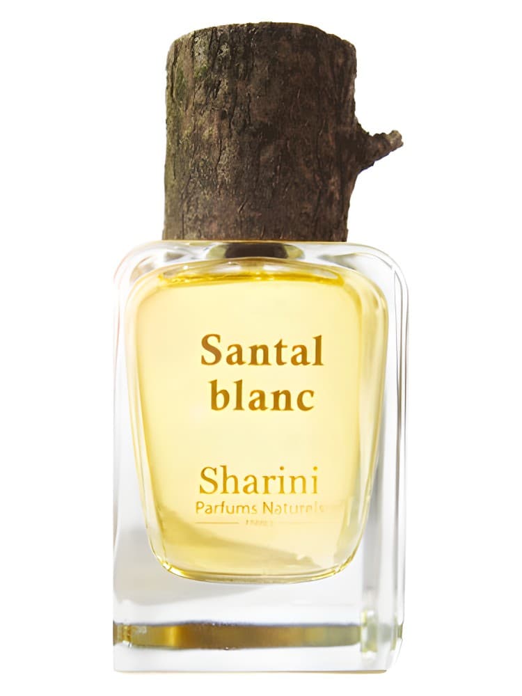 Santal Blanc