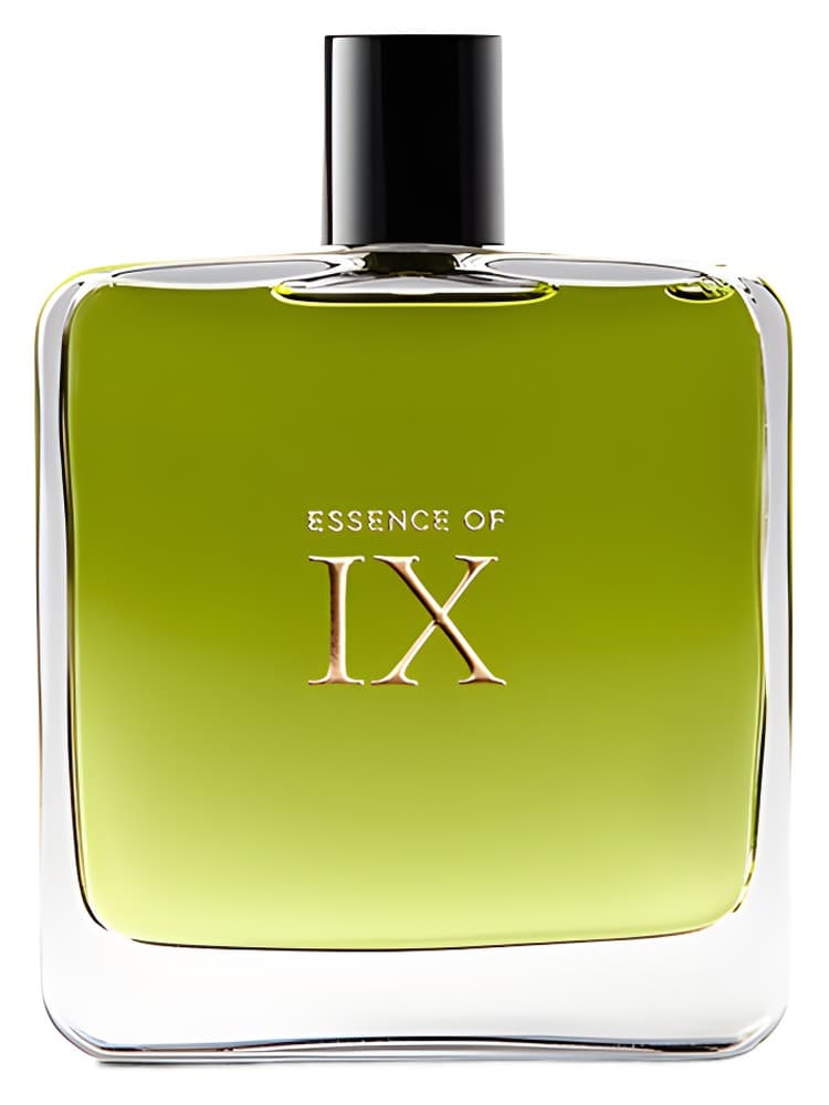 Essence of IX