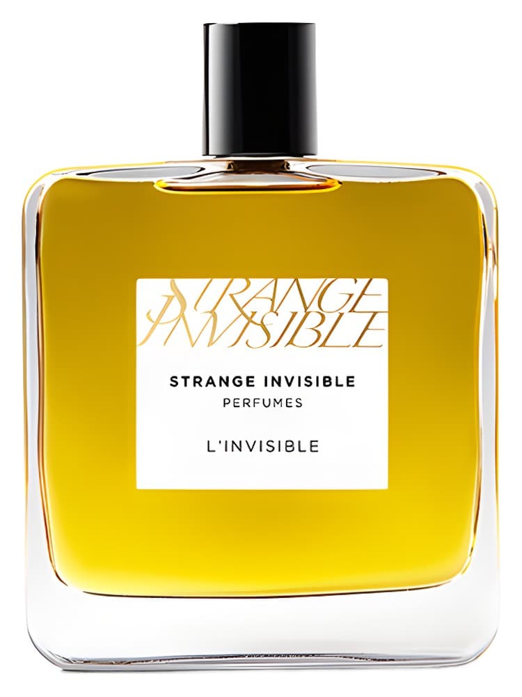 L Invisible