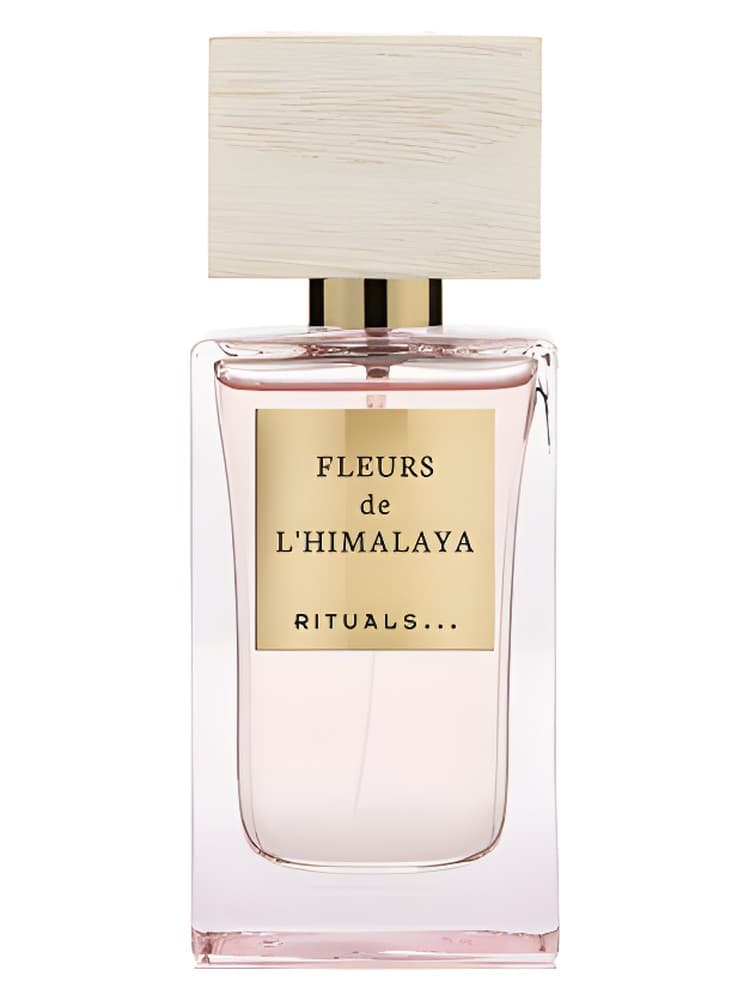 Fleurs de L Himalaya