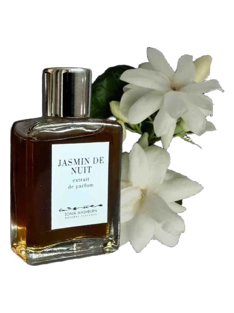 Jasmin De Nuit