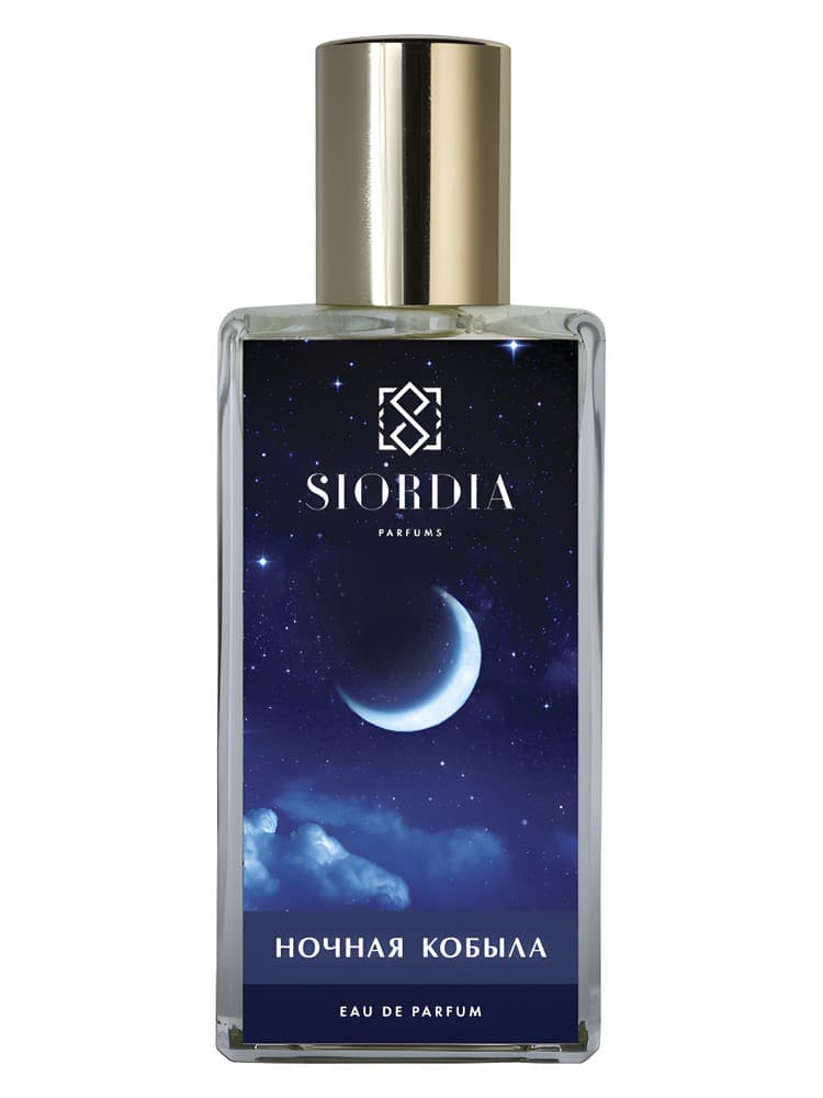 Night Horse Nocnaa Kobyla